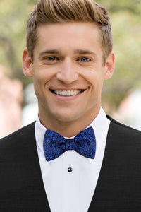 man wearing white shirt, floral royal blue bow tie and solid black Expressions vest