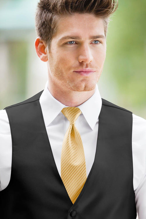 man wearing white shirt, striped gold windsor tie and solid black Expressions vest