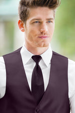 man wearing white shirt, striped plum windsor tie and solid plum Expressions vest