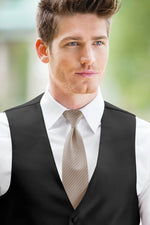 man wearing white shirt, striped taupe windsor tie and solid black Expressions vest